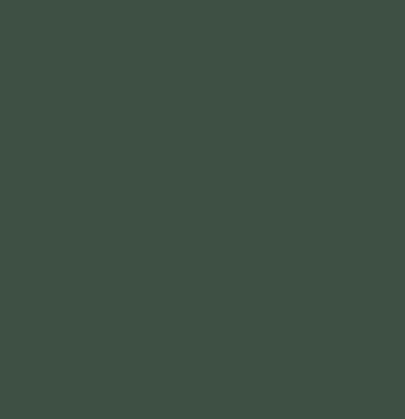 Verde bikoro