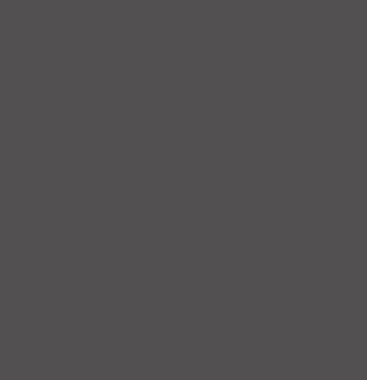 Visone warm gray
